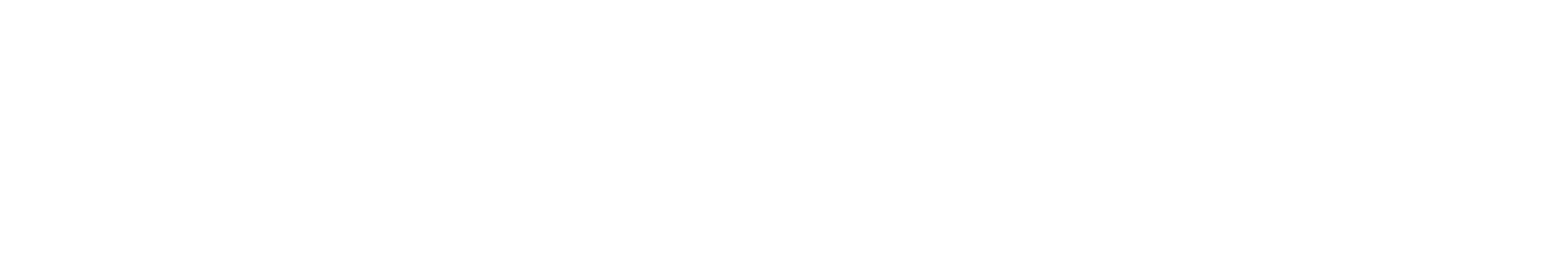 DIBIAUTO